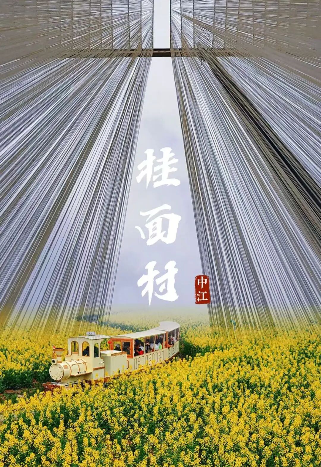 1778141711829731.jpg 微信图片_20260507155733_171_101.jpg